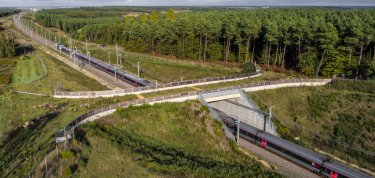 Les objectifs de compensation environnementale de la LGV SEA sont atteints !