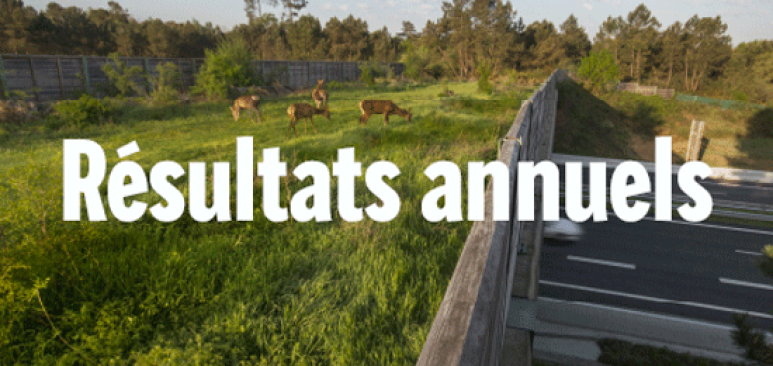 Résultats annuels 2019