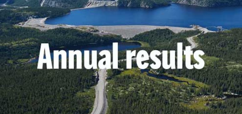 2020 annual results