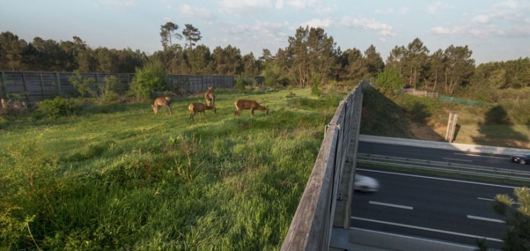 VINCI commits for the environment