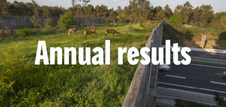 2019 annual results