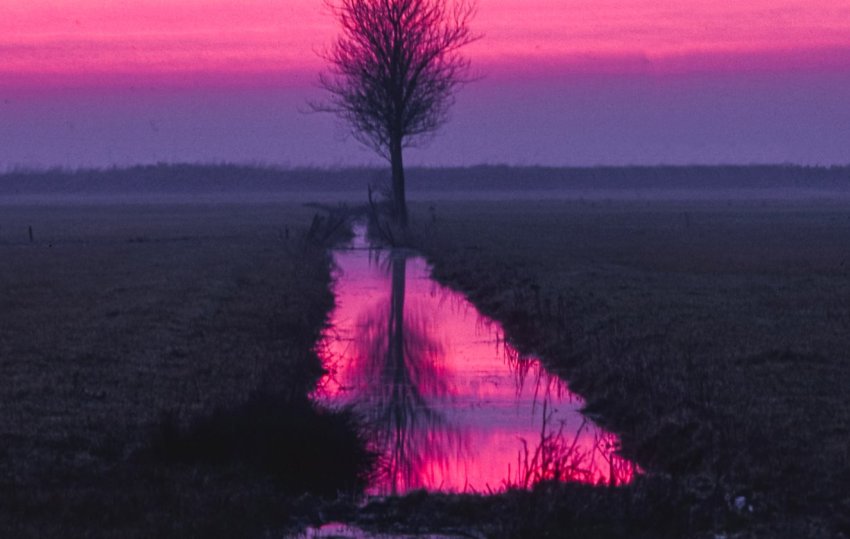 photo marais poitevin