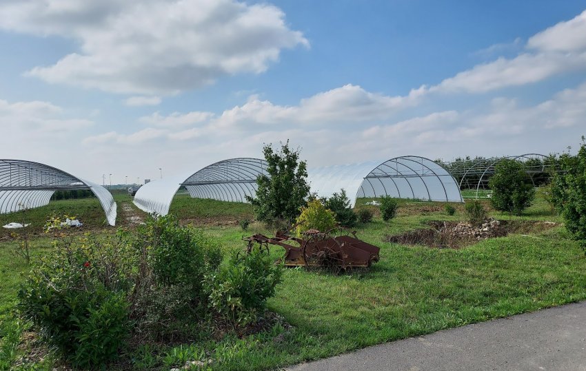 jardin voie romaine