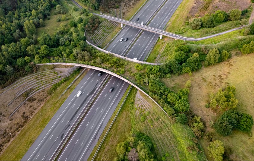 visuel article reconnecter avec la nature