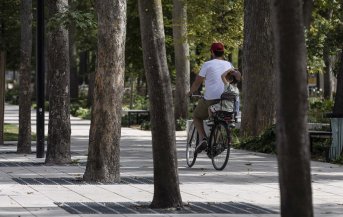 Père et fils à vélo dans un parc de centre-ville