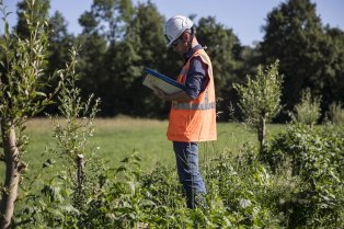 La construction du contournement ouest de Strasbourg fait l’objet de mesures environnementales sans précédent pour la protection de la biodiversité.