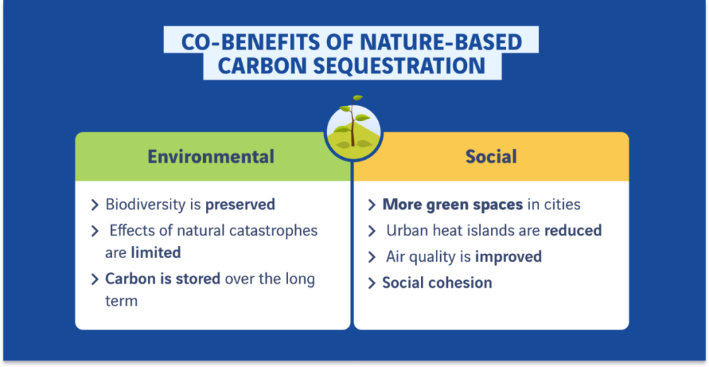 sequestration carbon benefits