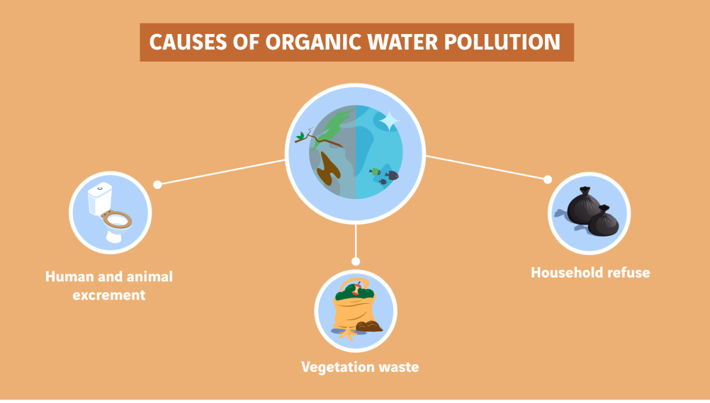 Schéma des causes de la pollution de l'eau