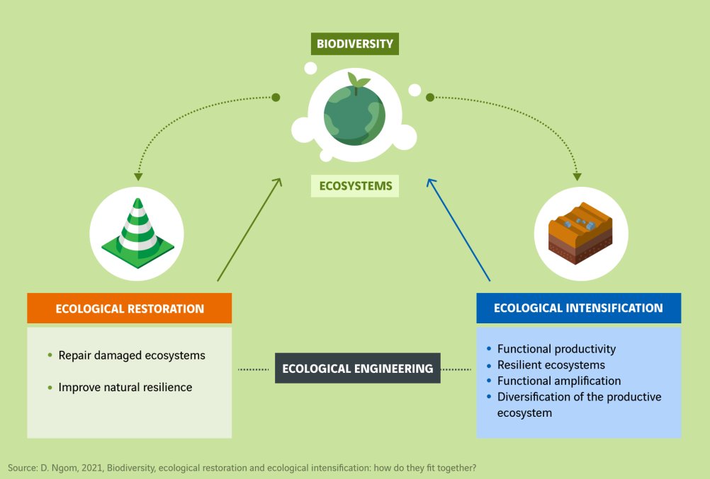 schema génie écologique