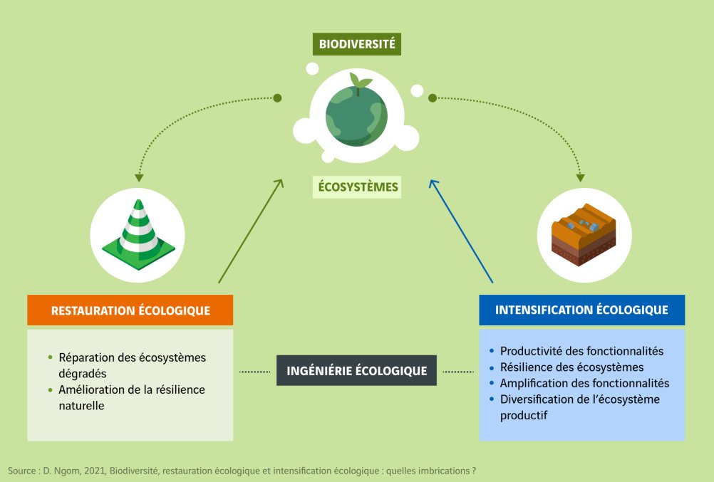 schema génie écologique