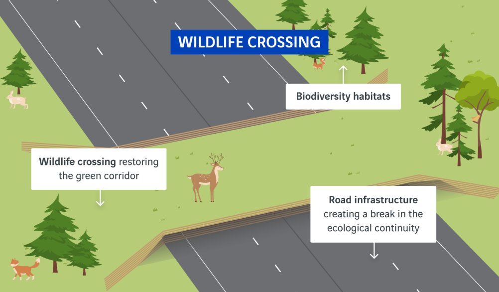 schéma passage à faune