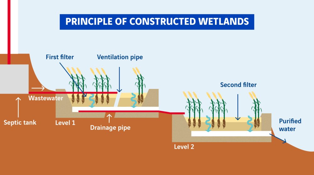 schéma principe de la phytoépuration