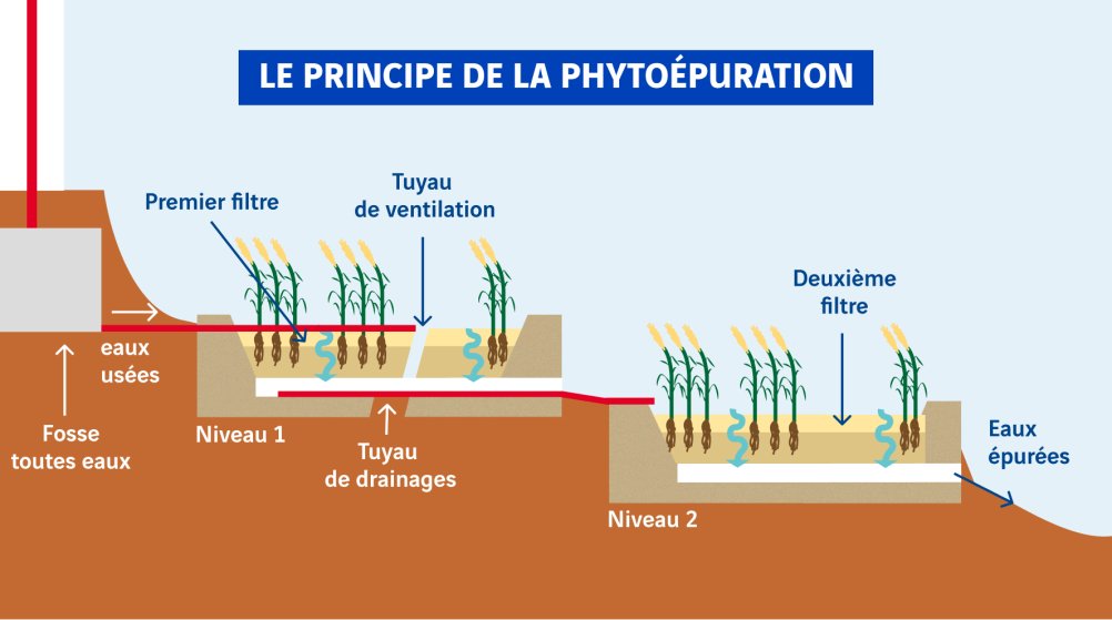 schéma principe de la phytoépuration