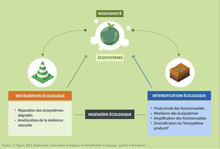 schéma biodiversité