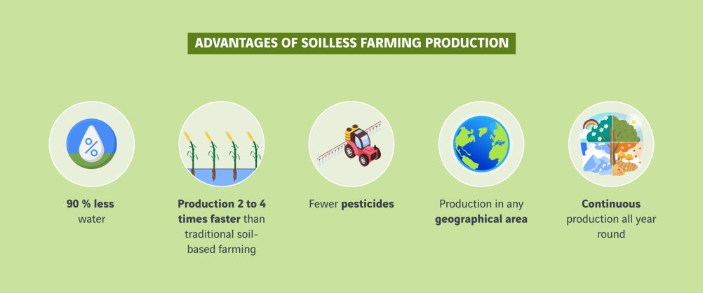 schéma avantages de la production agricole hors sol