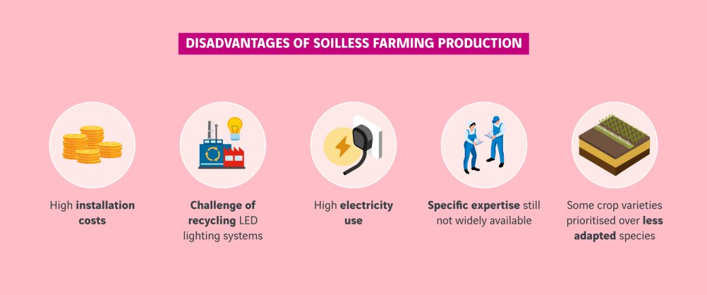 schéma inconvénients de la production agricole hors sol