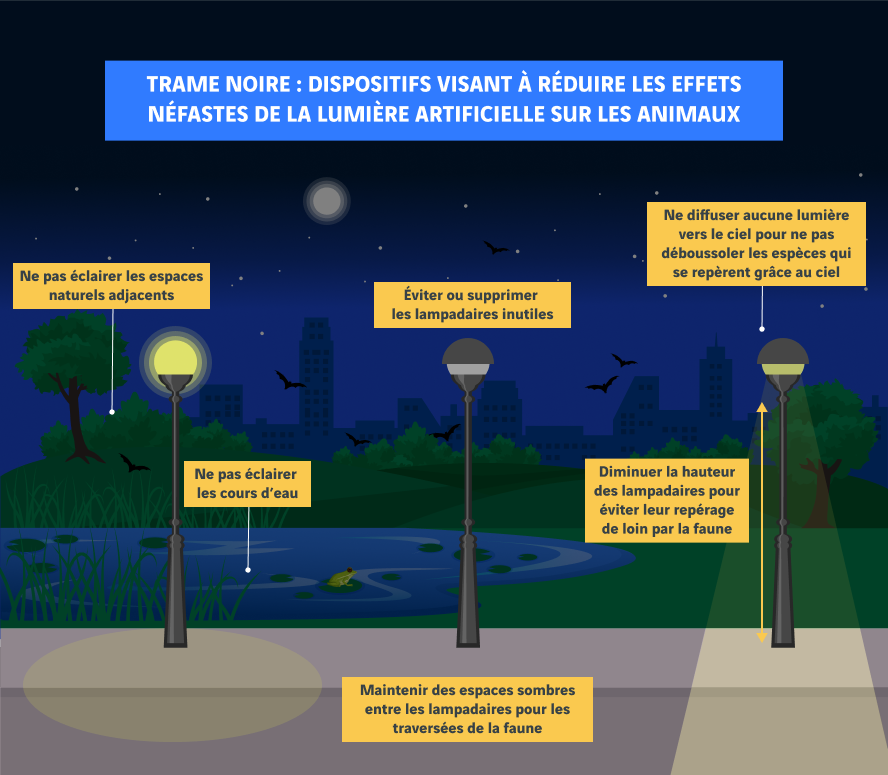 schéma trame noire