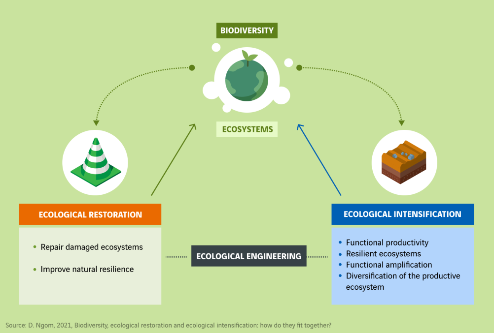schéma biodiversité