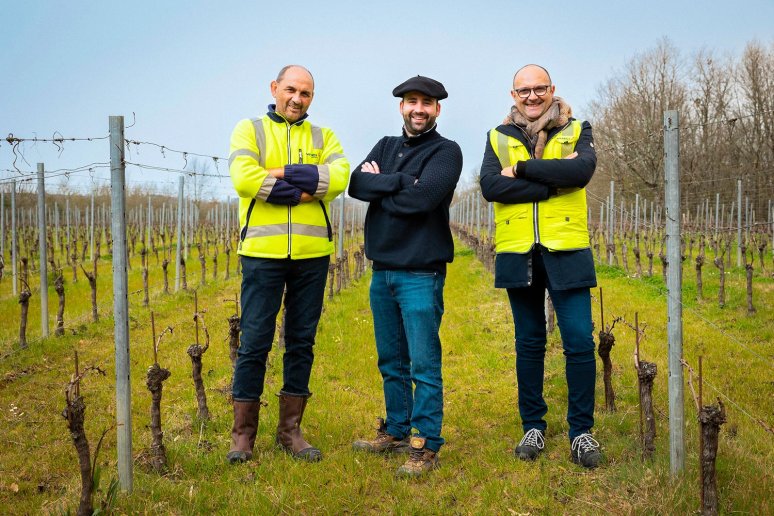 Membres de la fondation VINCI dans des vignes