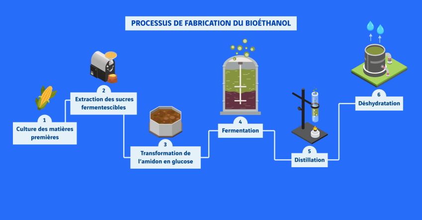 infographie sur le processus de fabrication du bioéthanol en 6 étapes