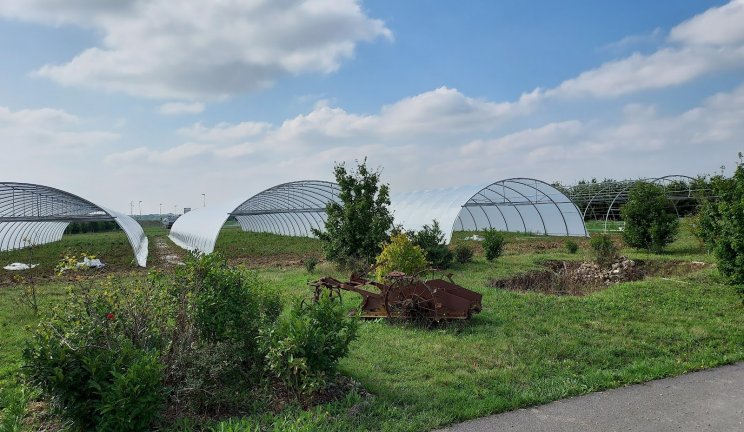 jardin voie romaine