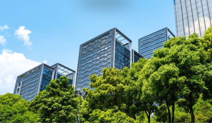 visuel article Construire avec et pour la nature