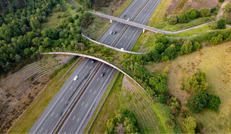 visuel article reconnecter avec la nature