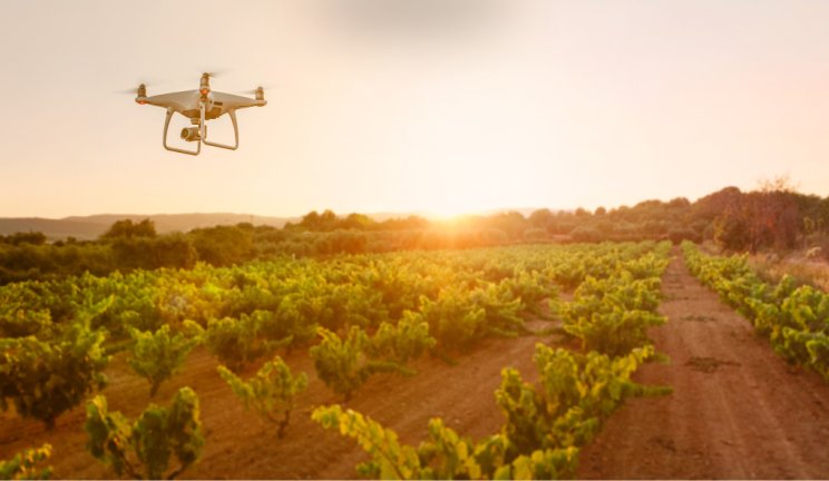 visuel article sur les mart farming