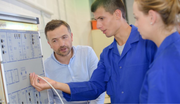 visuel insertion professionnelle