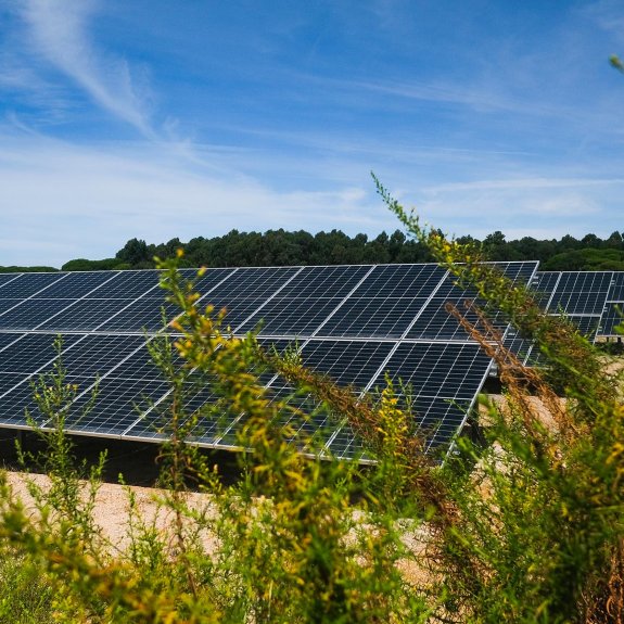 Panneaux solaires dans un champ