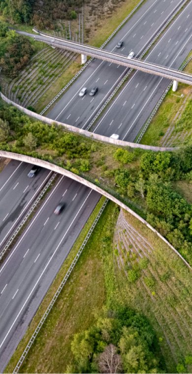 visuel article reconnecter avec la nature