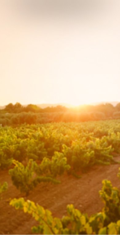 visuel article sur les mart farming